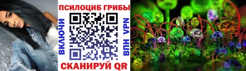 Псилоцибиновые грибы ЛСД  Куйбышев 